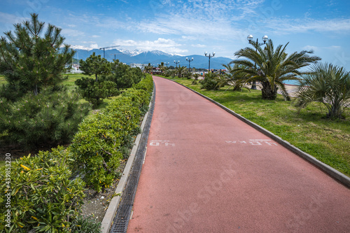 Landscape view of a bike path against the background of Caucasian mountains. Evergreen plants on the sides of the lane. Places for travel, vacation, mountain hiking and extreme recreation.