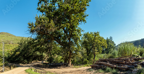 Panoramic landscape on the De Hoop road near Robertson