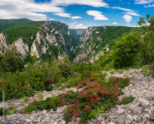 Steep rocky cliffs of Lazar's Canyon / Lazarev kanjon, the deepest and longest canyon in eastern Serbia, near the city of Bor photo