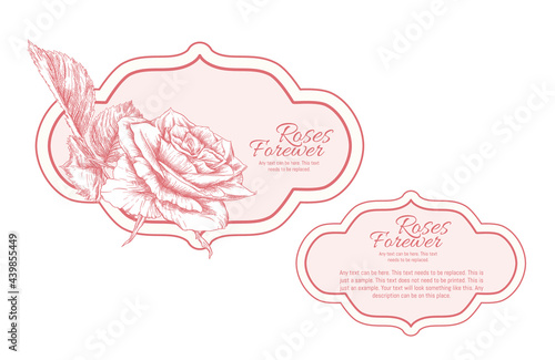 Set of face and back labels, stickers for food products or cosmetics in engraving, vintage, old, retro shabby chic style.. Stock vector illustration.