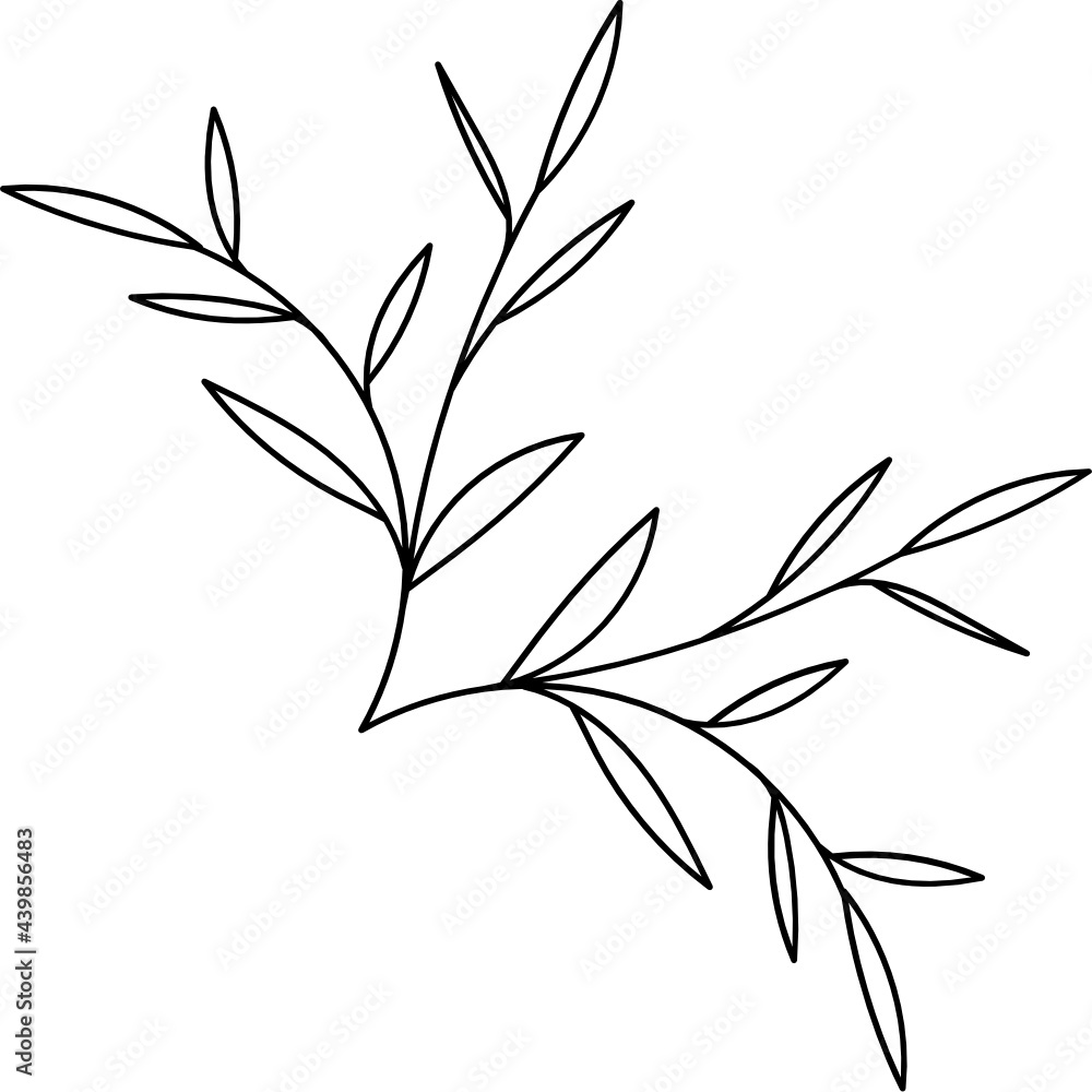 Obraz premium Leaf Plant Line Art Illustration