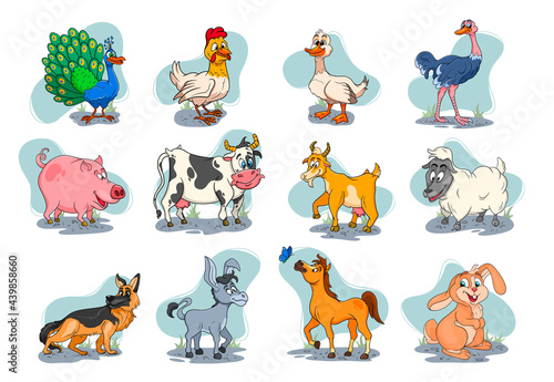 Fototapeta Naklejka Na Ścianę i Meble -  Farm animals characters big set of cartoon rural animals