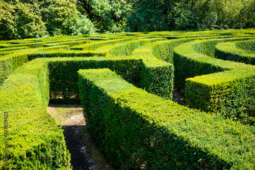 Green maze made with plants in a summer park