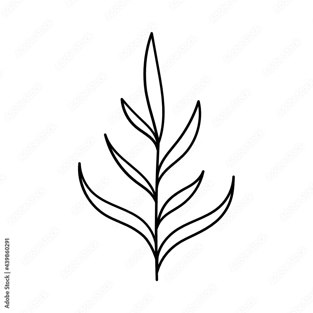 Leaf Plant Line Art Illustration Leaf Plant Line Art Illustration