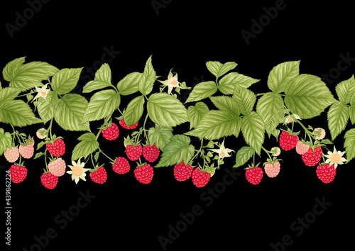 Raspberry. Ripe berries on branch. Seamless pattern, background. Graphic drawing, engraving style. Vector illustration on black background.