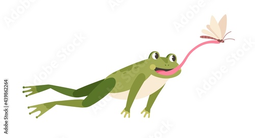 Cute frog hunting butterfly. Funny hungry toad jumping and catching flying insect with tongue. Happy little froglet. Colored flat vector illustration of froggy hunter isolated on white background