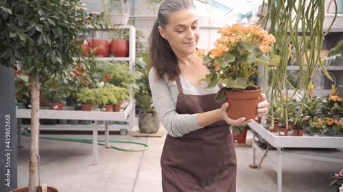 Stock video of beautiful middle age woman working in plant nursery.