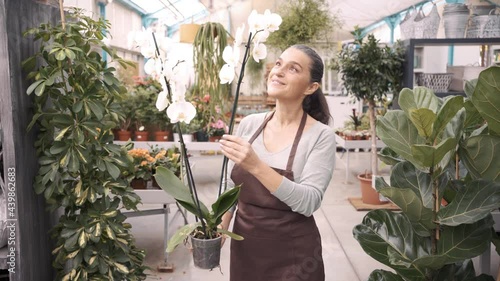 Stock video of beautiful middle age woman working in plant nursery.
