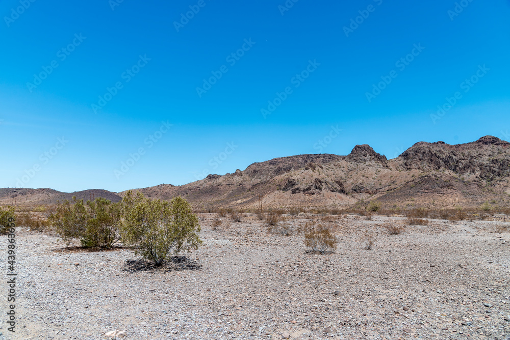 Desert landscape under a blue sky