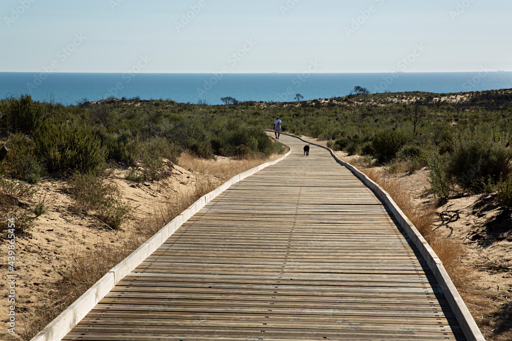Hombre con su perro andando por pasarela de madera para ir a la playa de Cuesta Maneli, Huelva.