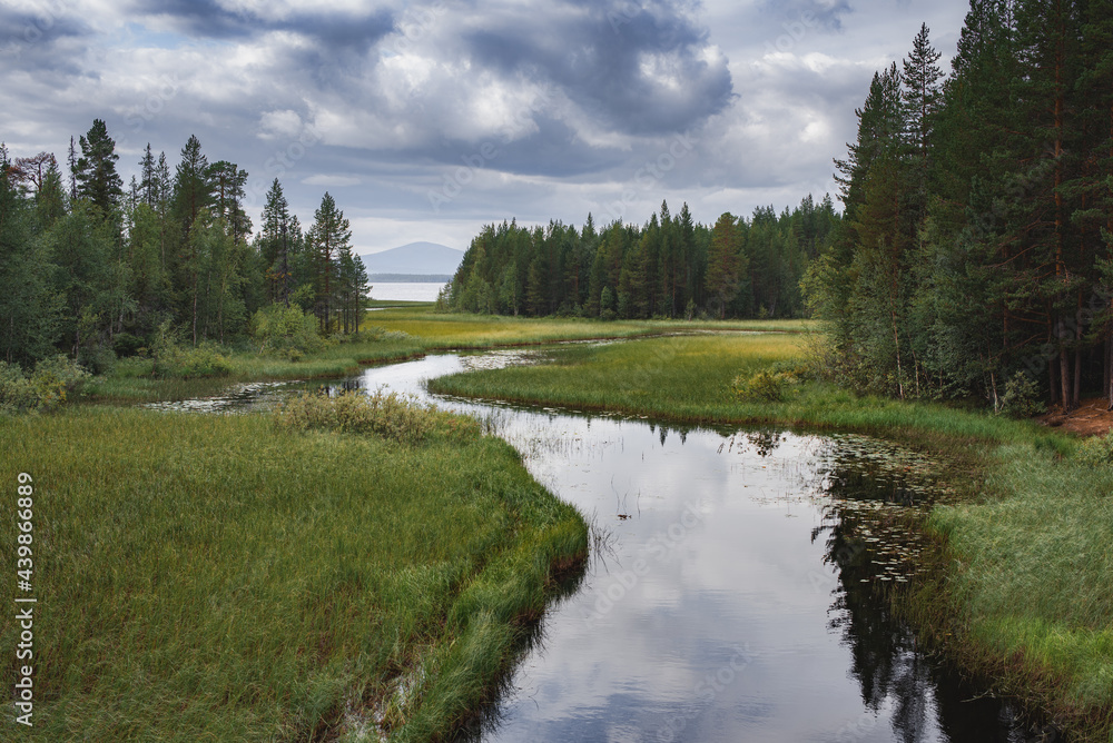 Northern creek among the forests and swamps of the Kola Peninsula. Dramatic sky