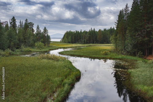 Northern creek among the forests and swamps of the Kola Peninsula. Dramatic sky
