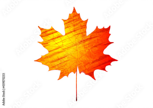 Orange and red grunge maple leaf abstract autumn vector background