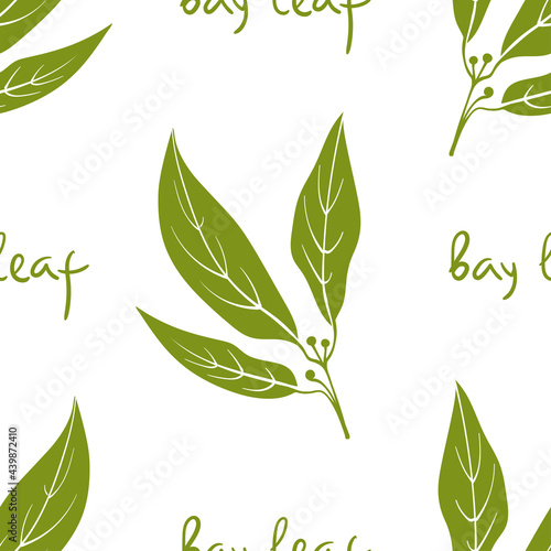 Seamless pattern with bay leaf. Colorful paper cut culinary herbs isolated on white background. Doodle hand drawn vector illustration