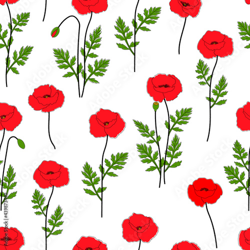 Seamless pattern poppies flowers vector illustration. Provence wildflowers