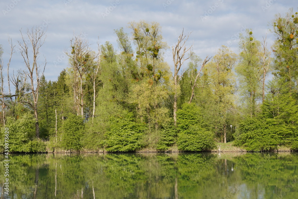 Obraz premium Am Inn bei Pfraundorf