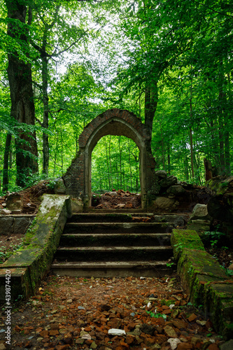 Abandoned old crypt in the middle of a forest in the Kaliningrad region