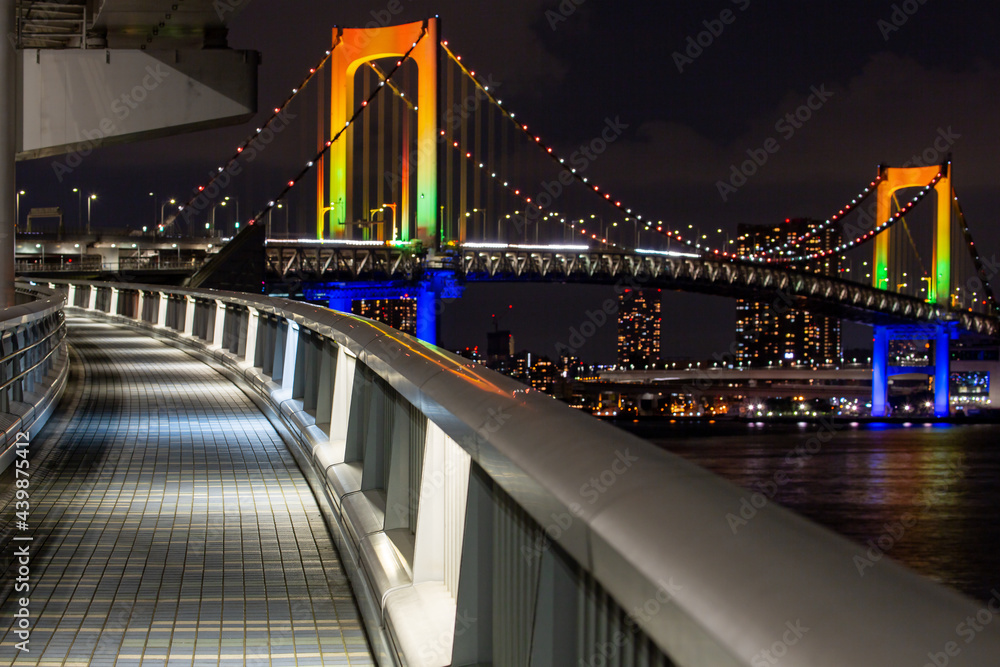 Obraz premium レインボーブリッジの夜景（お台場・東京）