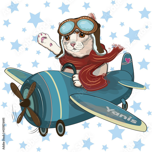 Cute Cat on an airplane. Illustration for children