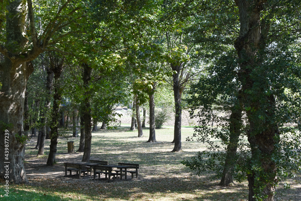 Obraz premium italian countryside and its natural beauties in detail