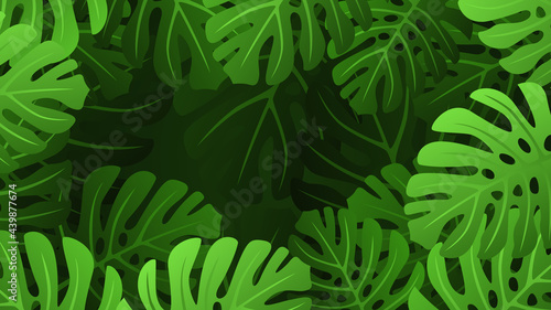summer background with monstera leaves, tropical plants background