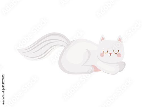 white smiling kitten