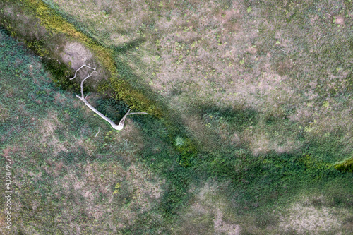 aerial view of shortgrass prairie with a bed of a seasonal creek, Pawnee National Grassland in Colorado, middle June scenery photo