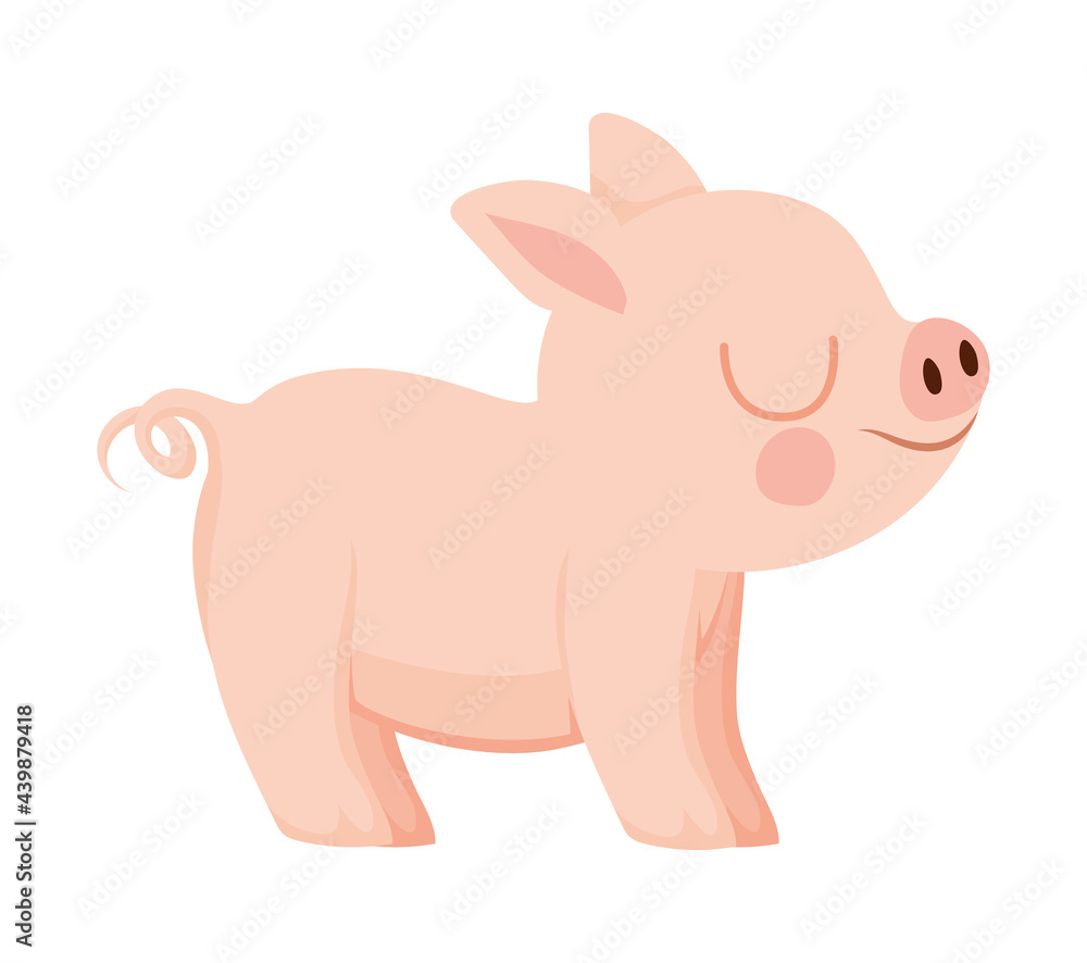 pretty piggy design