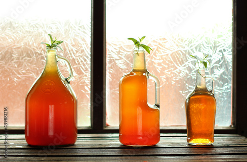 Cold tea drink with beneficial bacteria.  Kombucha for healthy nutrition. 