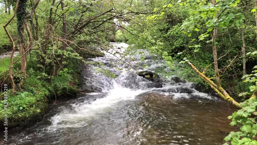 River Tarell near Brecon in Southern Wales River Tarell near Brecon in Southern Wales