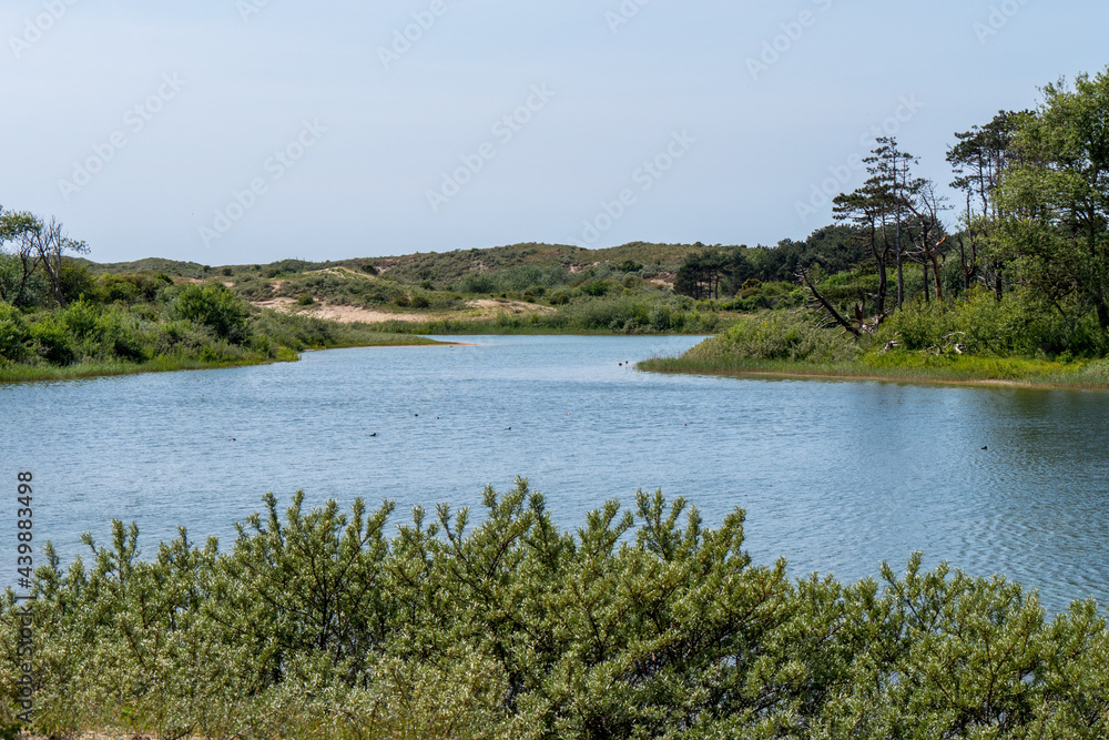 Water reservoir surrounded by vegetation in the dunes of Wassenaar 