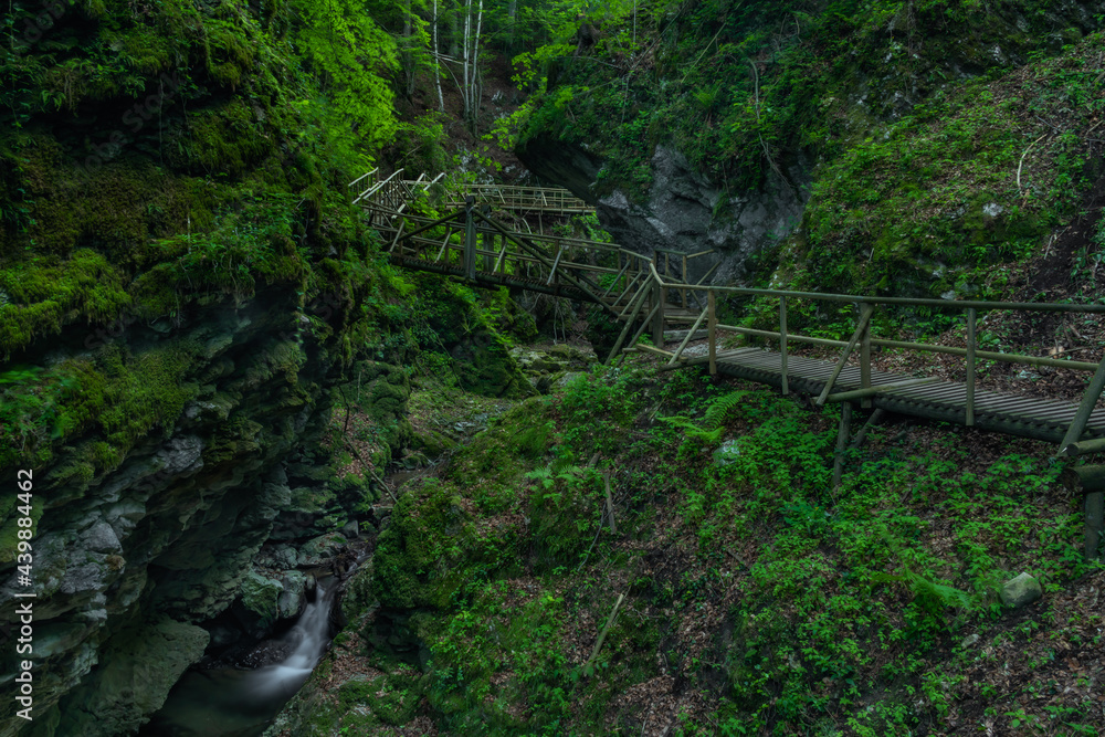 Fototapeta premium Strait valley with Rotschbach creek and Kesselfall waterfall without water