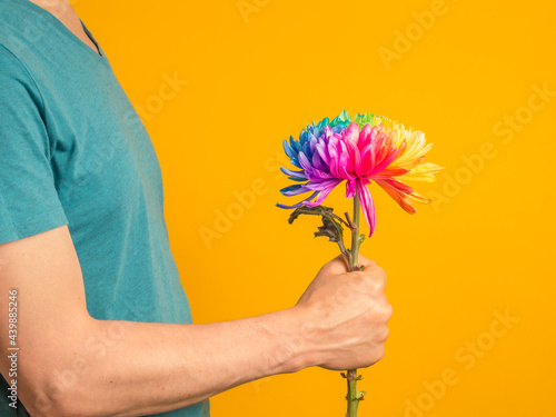 A caucasian man holds out a one of painted in rainbow colors chrysanthemum on an orange background. A man wearing turquoise t-shirt and standing sideways, midsection. photo