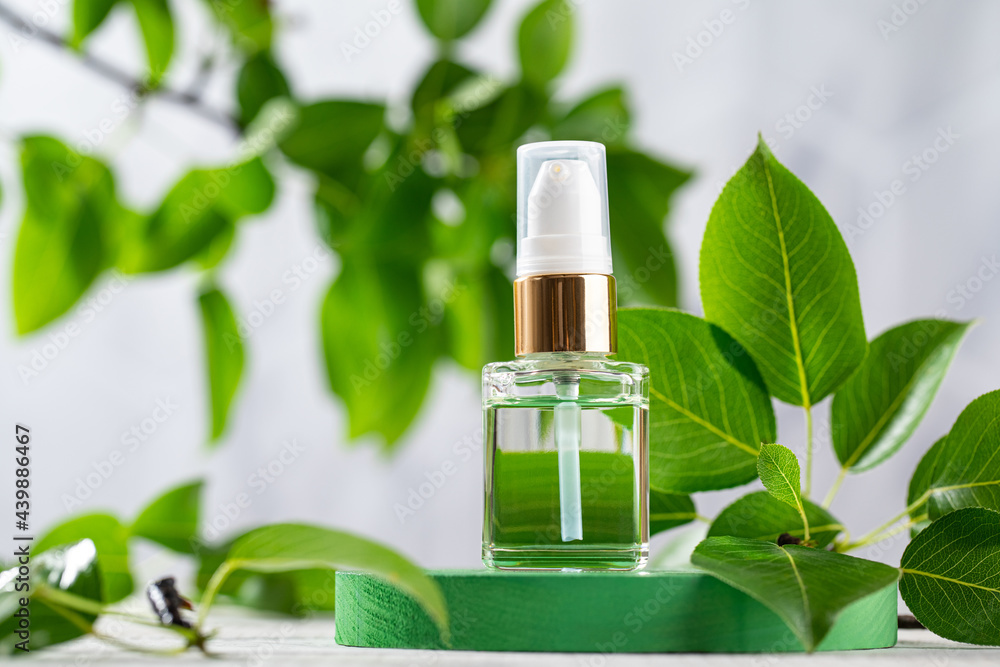 Serum for the skin of the face in a dropper on a green podium among the leaves. The concept of natural cosmetics. Serum for the skin of the face in a dropper on a green podium among the leaves. The concept of natural cosmetics.