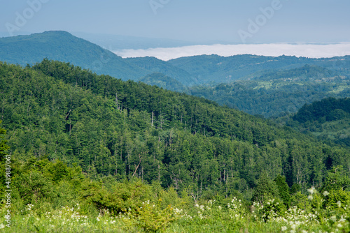 Scenic landscape of Crni Vrh (Black Peak) mountain in eastern Serbia, near the city of Bor © Mirko