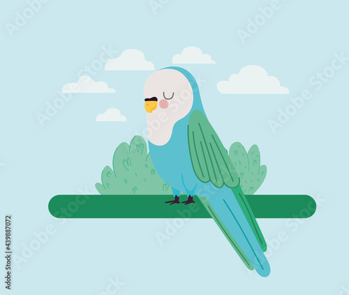 pretty parakeet illustration