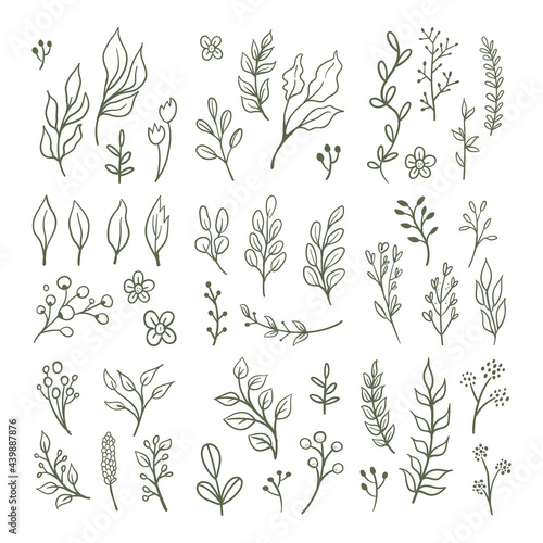 Floral graphic elements vector set. Flowers and plants hand drawn illustrations. Leaves and branches.