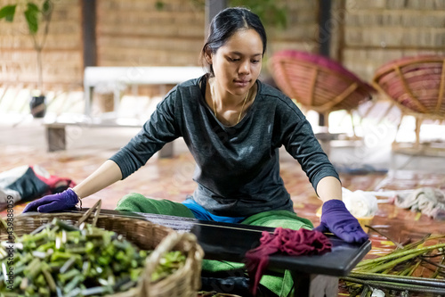 Woman preparing Silk fiber from Lotus Flowers photo