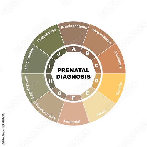 Diagram concept with Prenatal Diagnosis text and keywords. EPS 10 isolated on white background