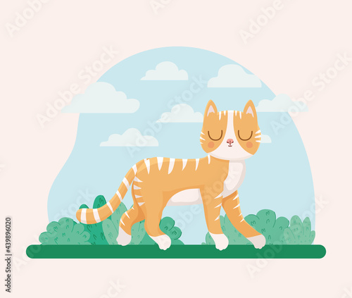 kitten and bushes