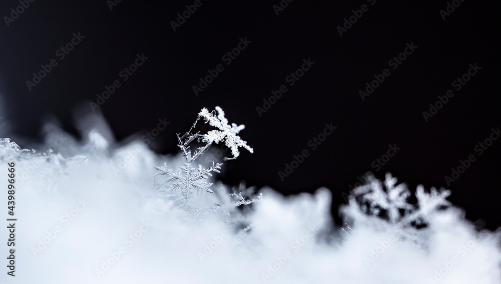 Snowflake in the snow, winter