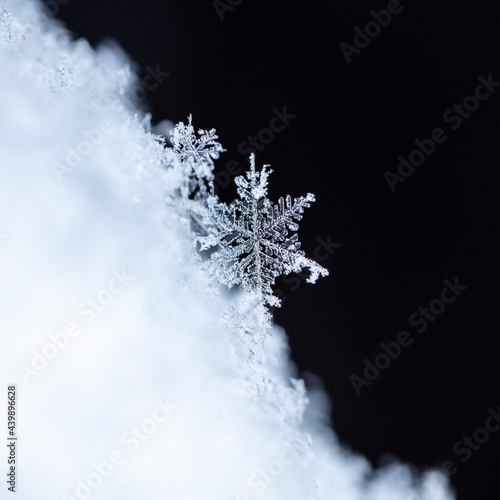 Snowflake in the snow, winter