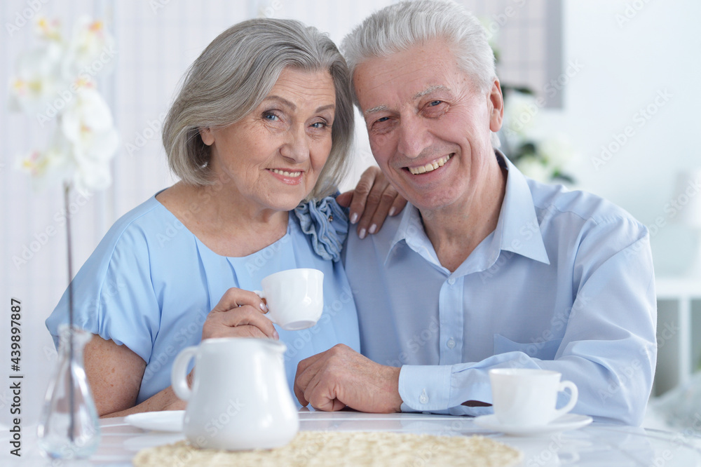 portrait of a happy senior couple at home portrait of a happy senior couple at home