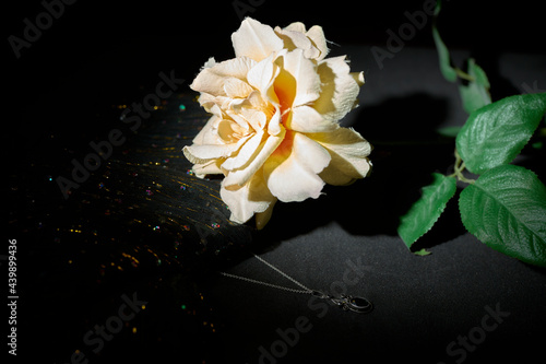 Brooch with a chain  a white flower and a pant