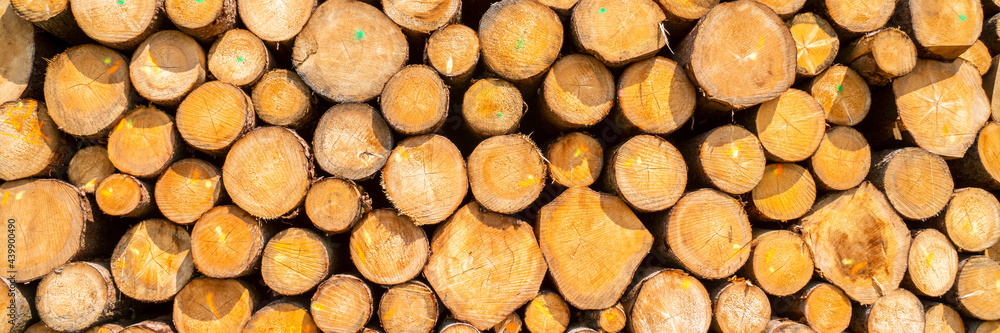Fotografie Storage place for wood logs