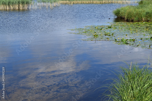 étang reflet eau ciel nuage bleu verdure herbe nature lac © FRANCIS