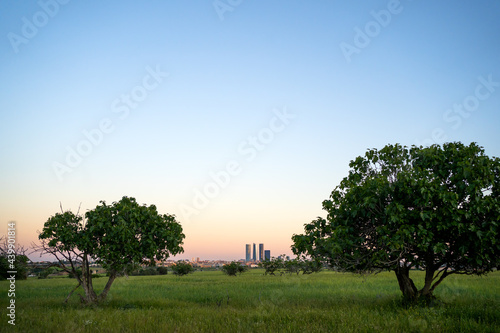 Landscape With Skyscrapers on The Horizon. 