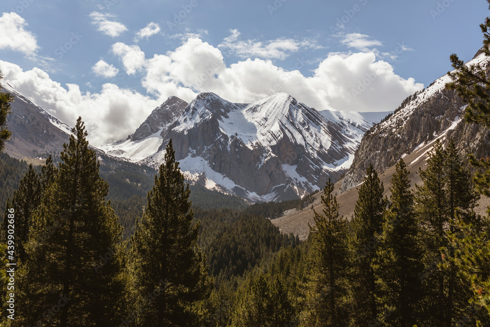Mountain biker into the high mountains, Landscape Mountain biker into the high mountains, Landscape