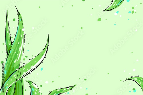 Green aloe Vera leaves on a green background. Cartoon style. Vector illustration with place for your text.