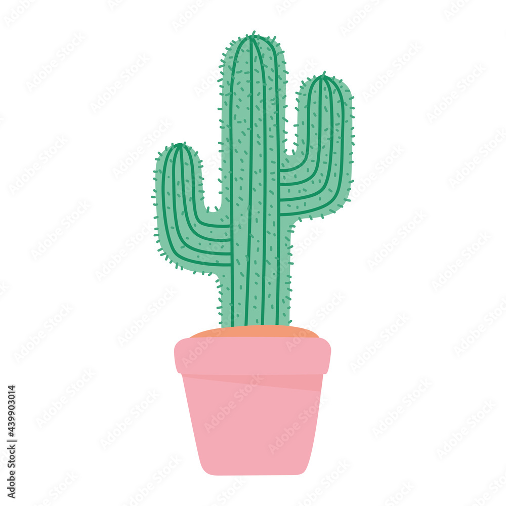 cactus in pink pot